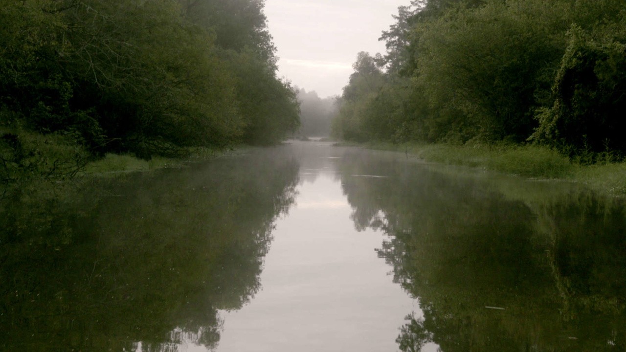Murder in the Bayou