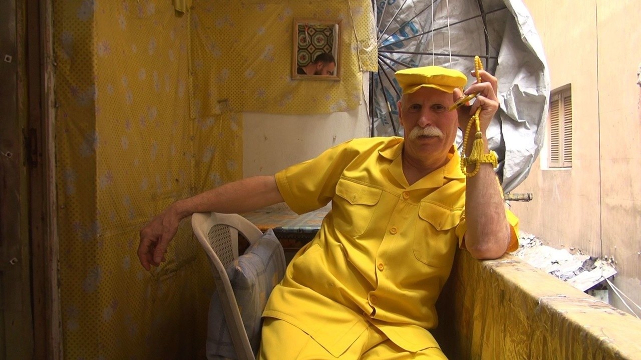 Simulation of Mr. Yellow