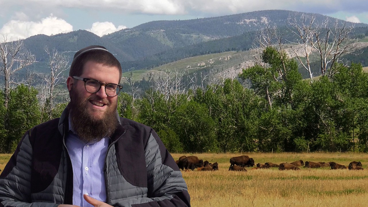 The Rabbi Goes West (2019) | MUBI