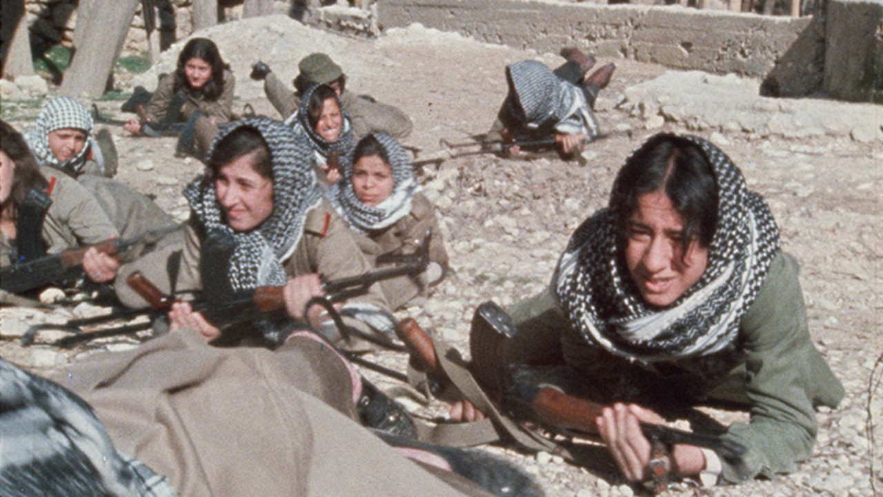 Image du film Les Femmes palestiniennes
