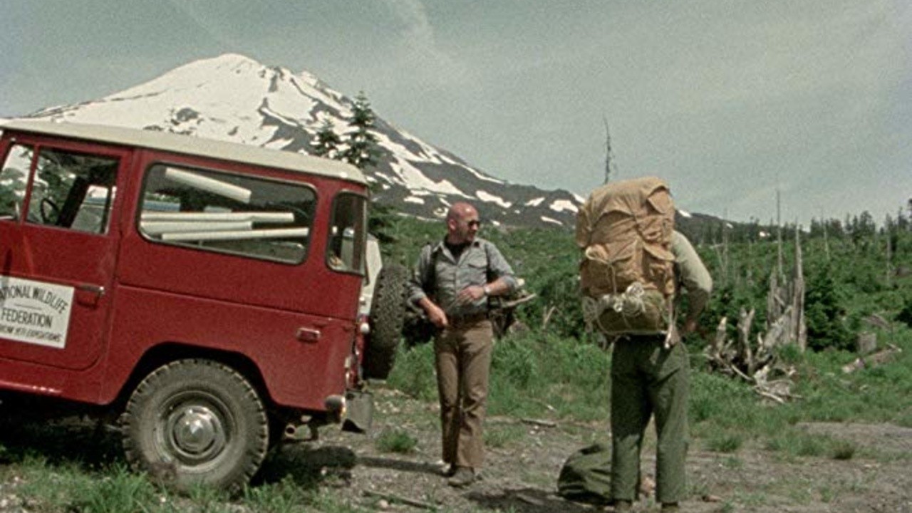 In Search of Bigfoot