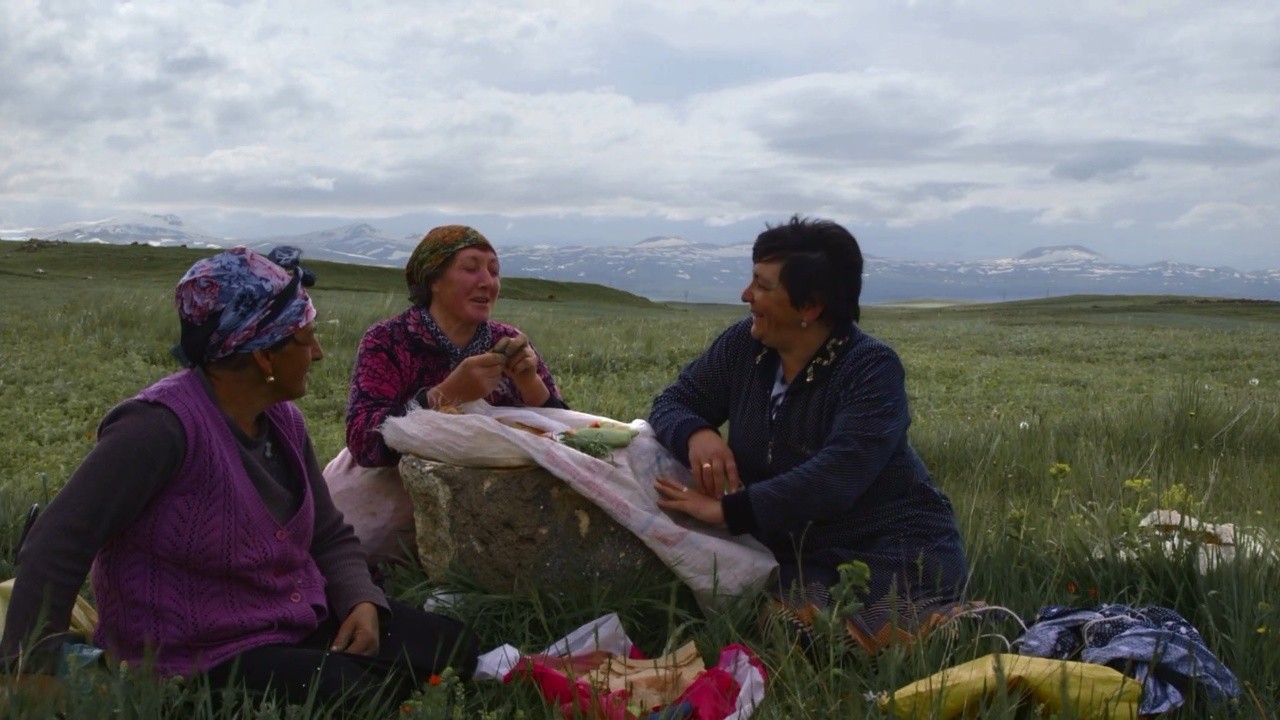 Image du film Village de femmes
