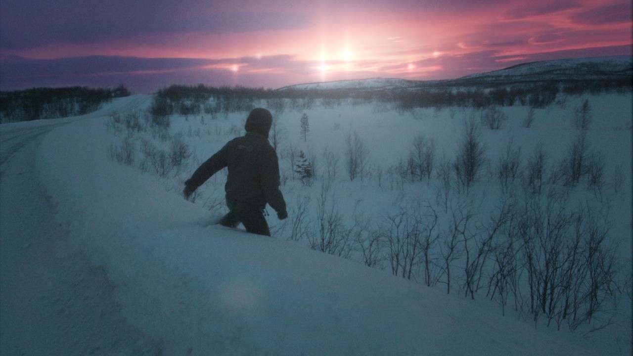 Sun Dog