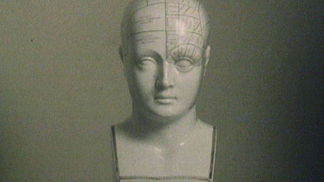 Il Corpo Rubato