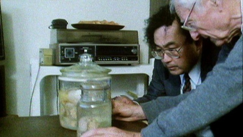 Relics: Einstein's Brain
