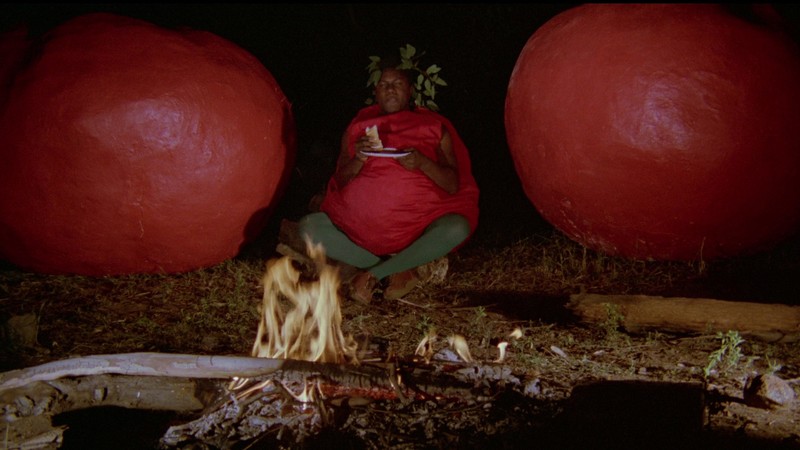 Attack of the Killer Tomatoes!