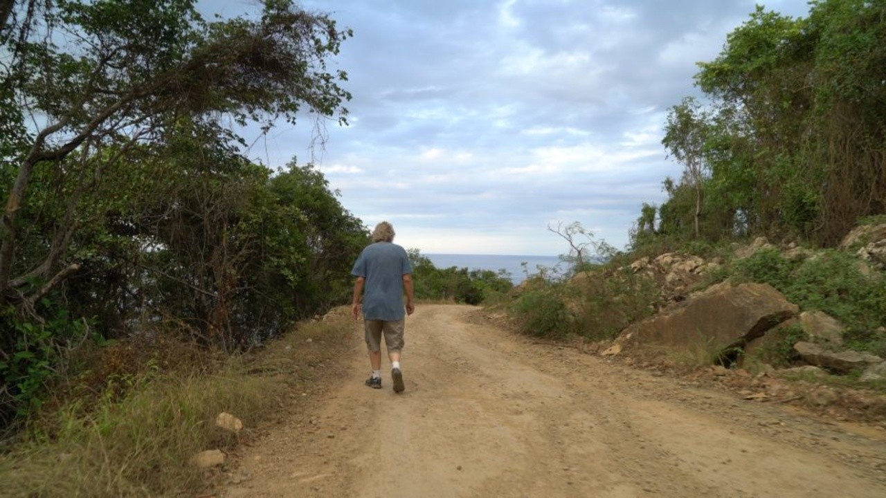 I Walk