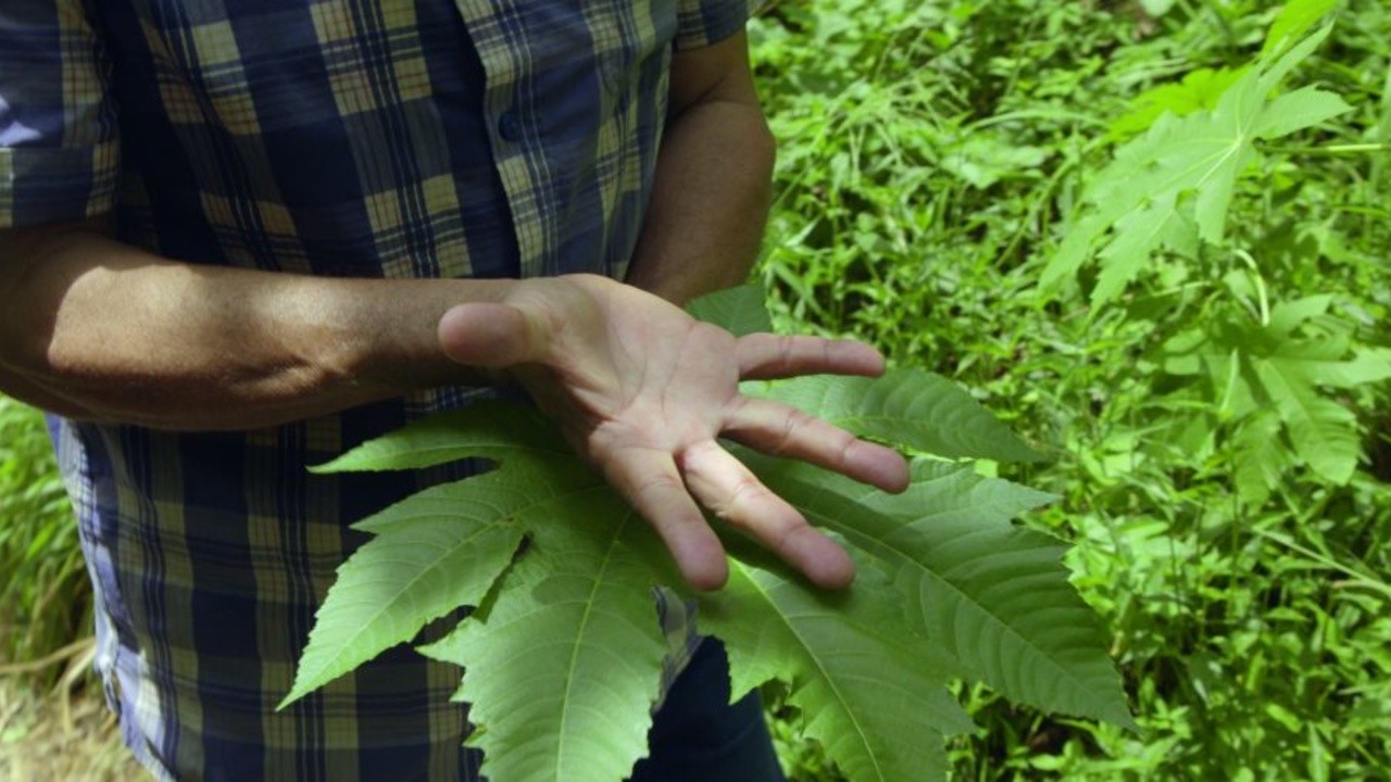 Image du film Tu crois que la terre est chose morte