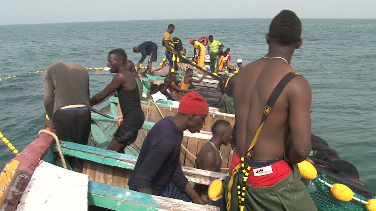 Image du film Poisson d’or, poisson africain