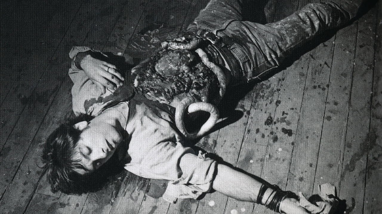 Sonic Youth: Death Valley 69 [MV]