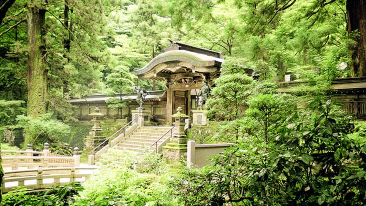 Souls of Zen