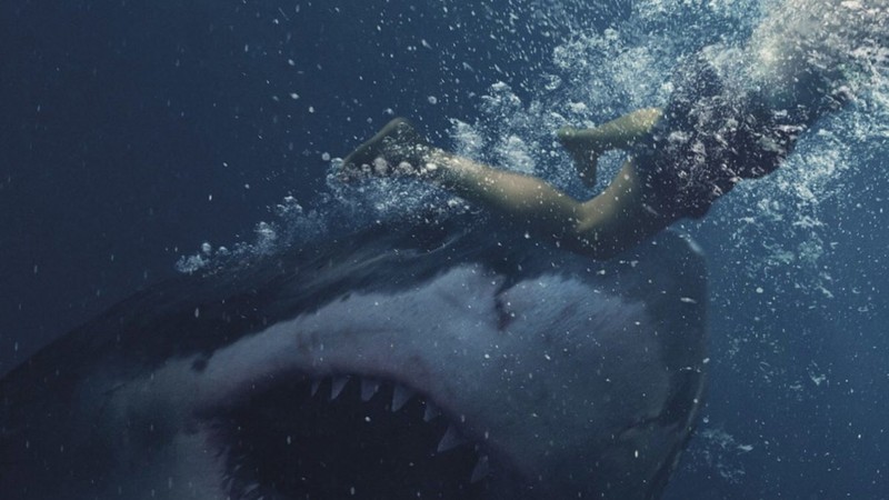 Great White