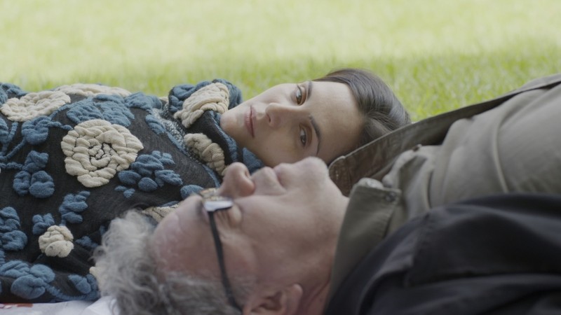 Shape of the Hours