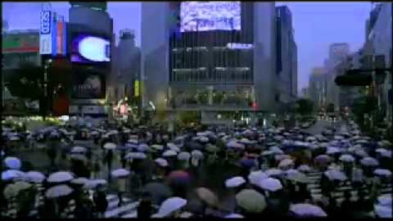 Kevin Shields: City Girl [MV]