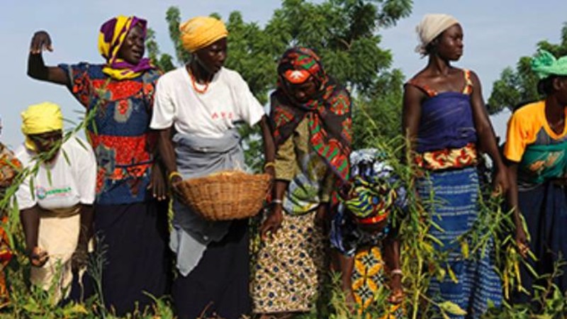 Burkinabè Bounty: Agroecology in Burkina Faso