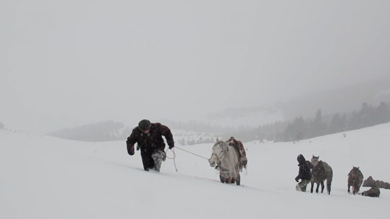Far Away (2018) | MUBI