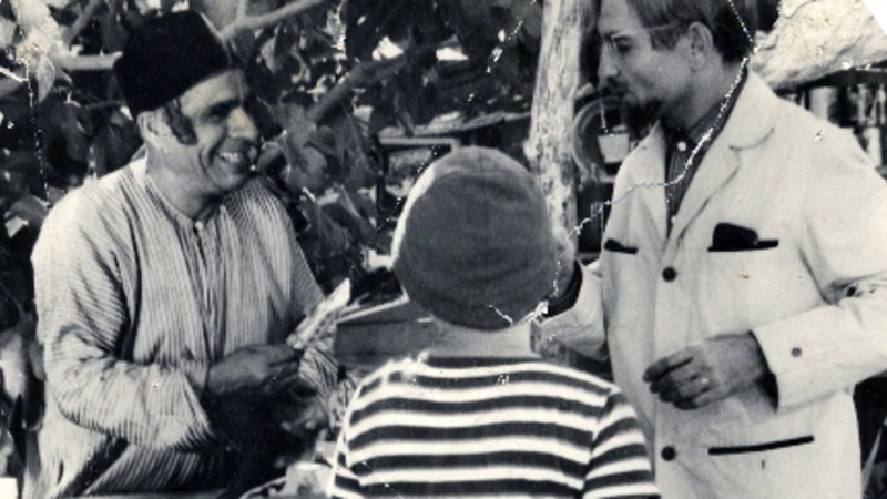 mubi