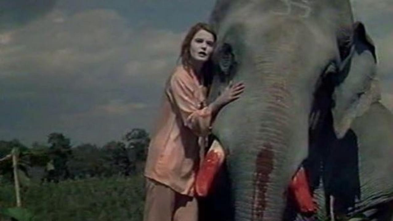 Image du film Tusk