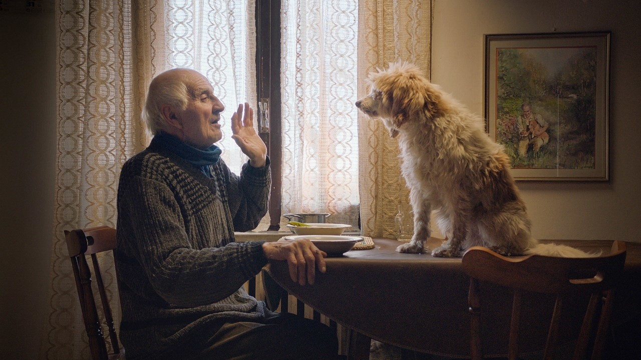 Image du film Chasseurs de truffes
