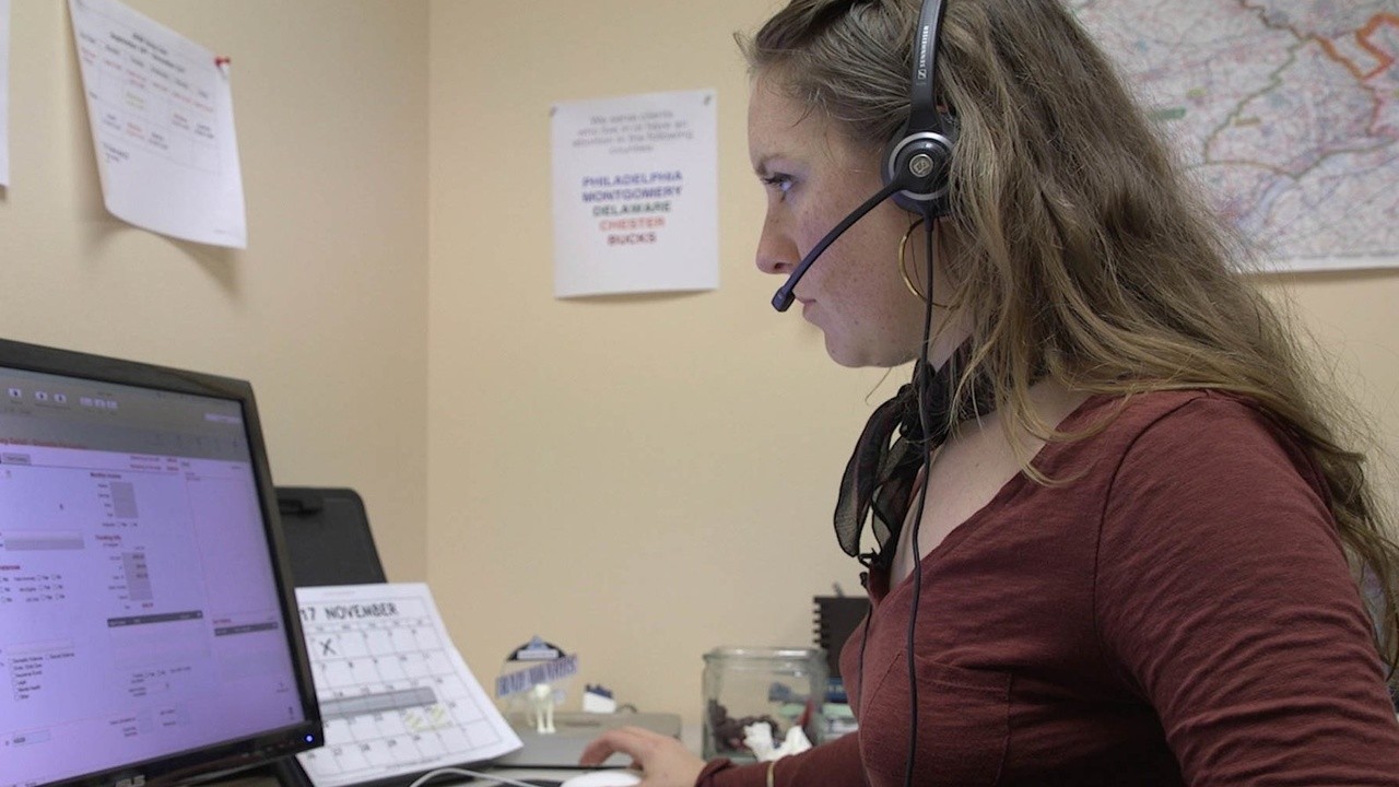 Abortion Helpline, This Is Lisa