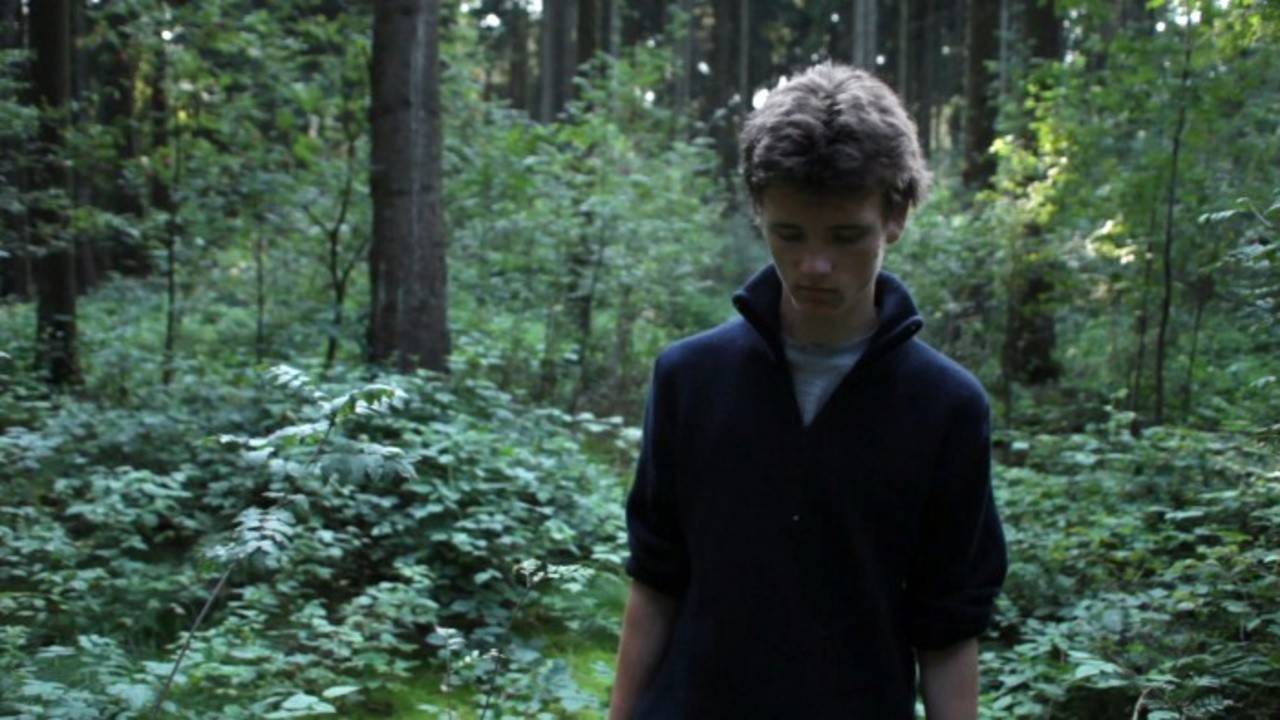 The Revenants (2013) | MUBI