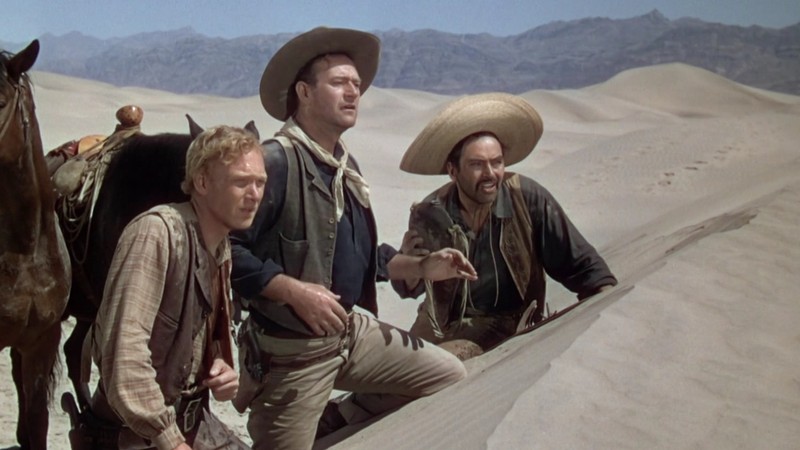 image-w1280.jpg?size=800x