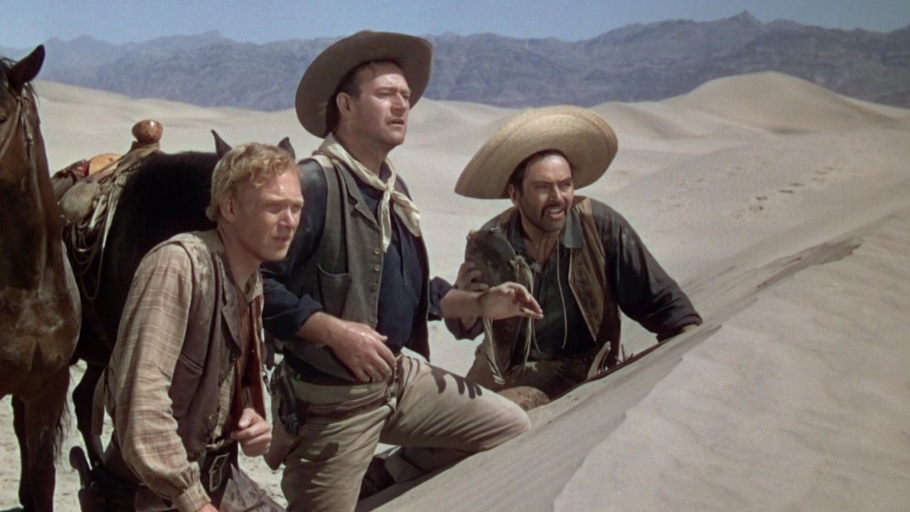 Image du film Le Fils du désert