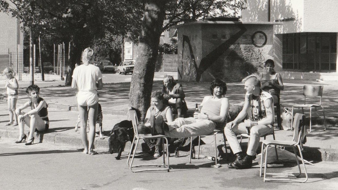 Waar De Ratten Koning Zijn