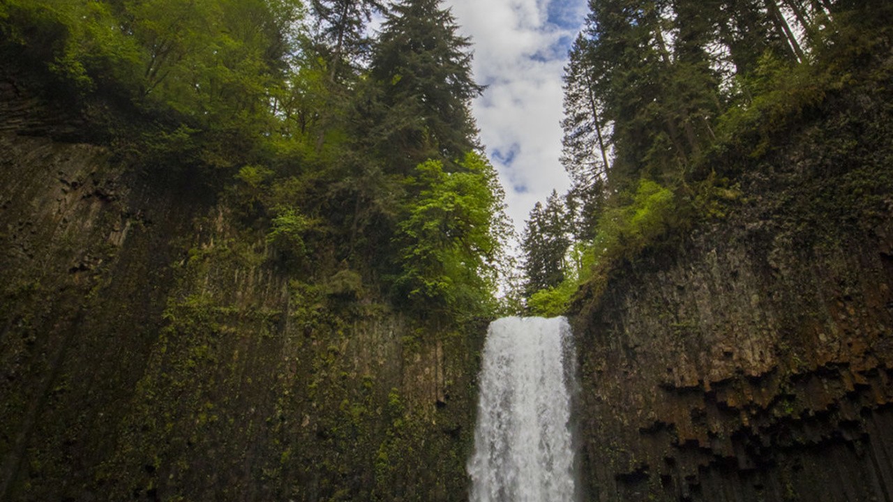 Exploring the Pacific Northwest