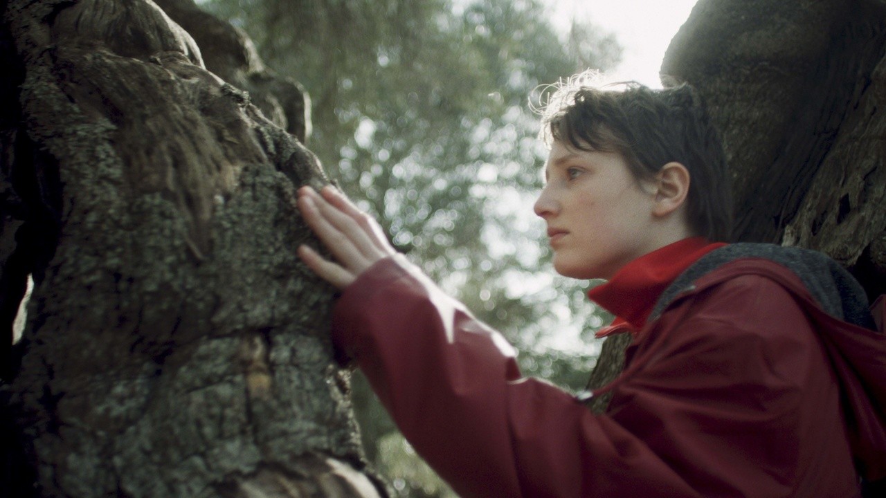 Image du film Sème le vent