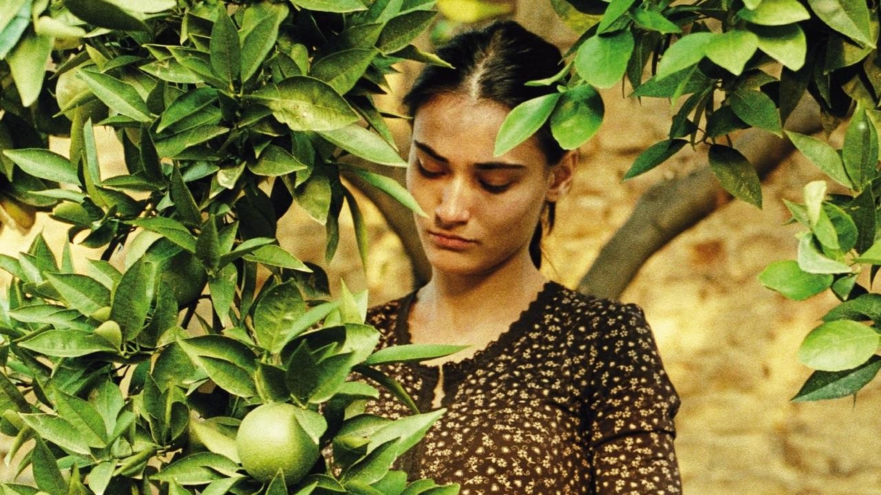 Image du film Yumurta
