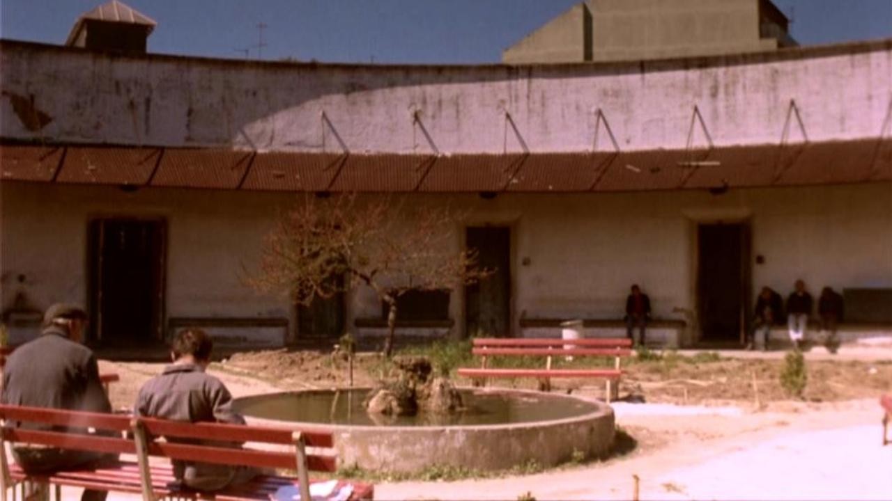 Recollections of the Yellow House