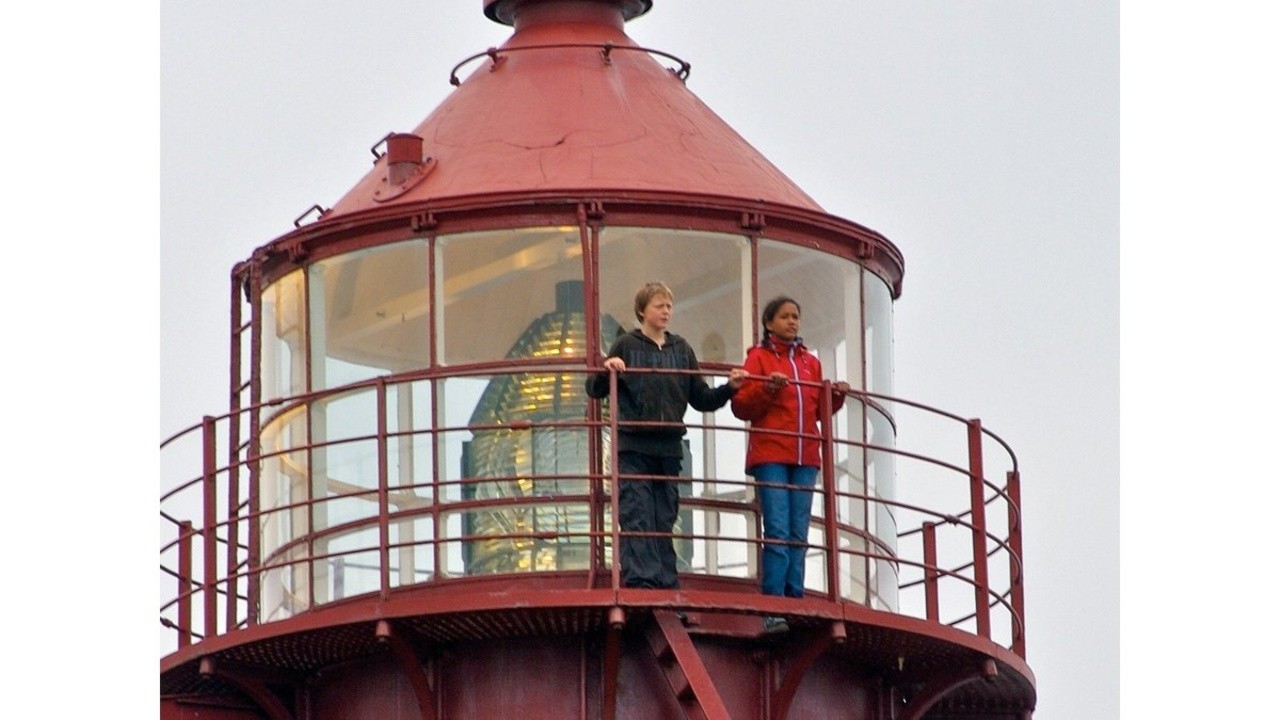 SOS: Summer of Suspense (2008) | MUBI