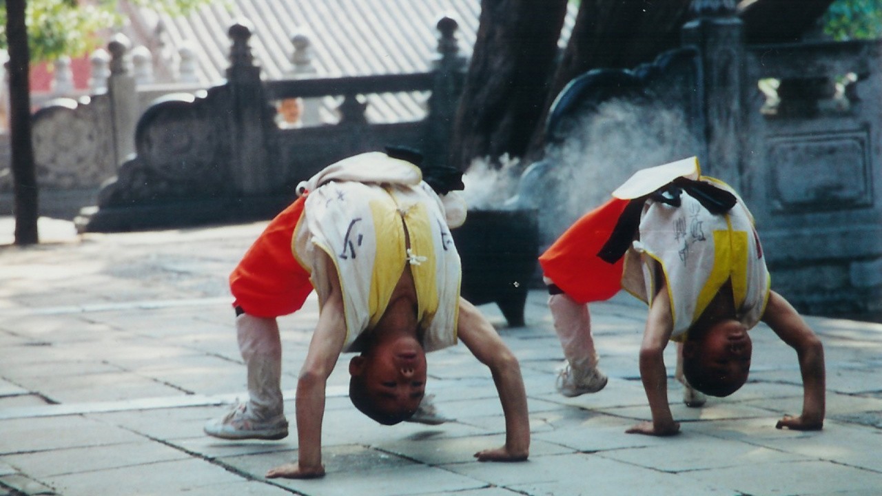 Shaolin Ulysses: Kungfu Monks in America