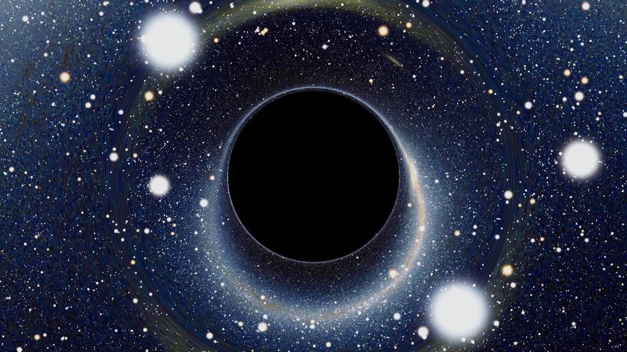 Gravity and Me: The Force That Shapes Our Lives
