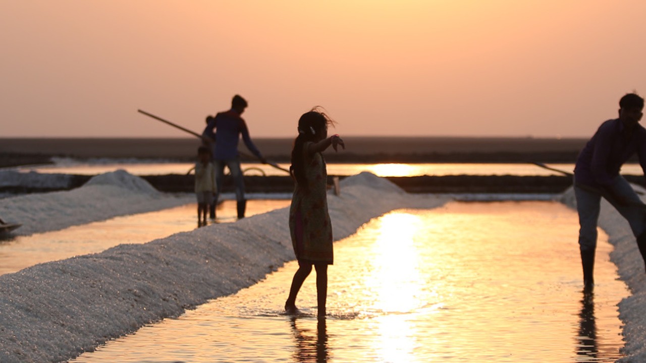 The Wounded Souls of The Rann (2019) | MUBI