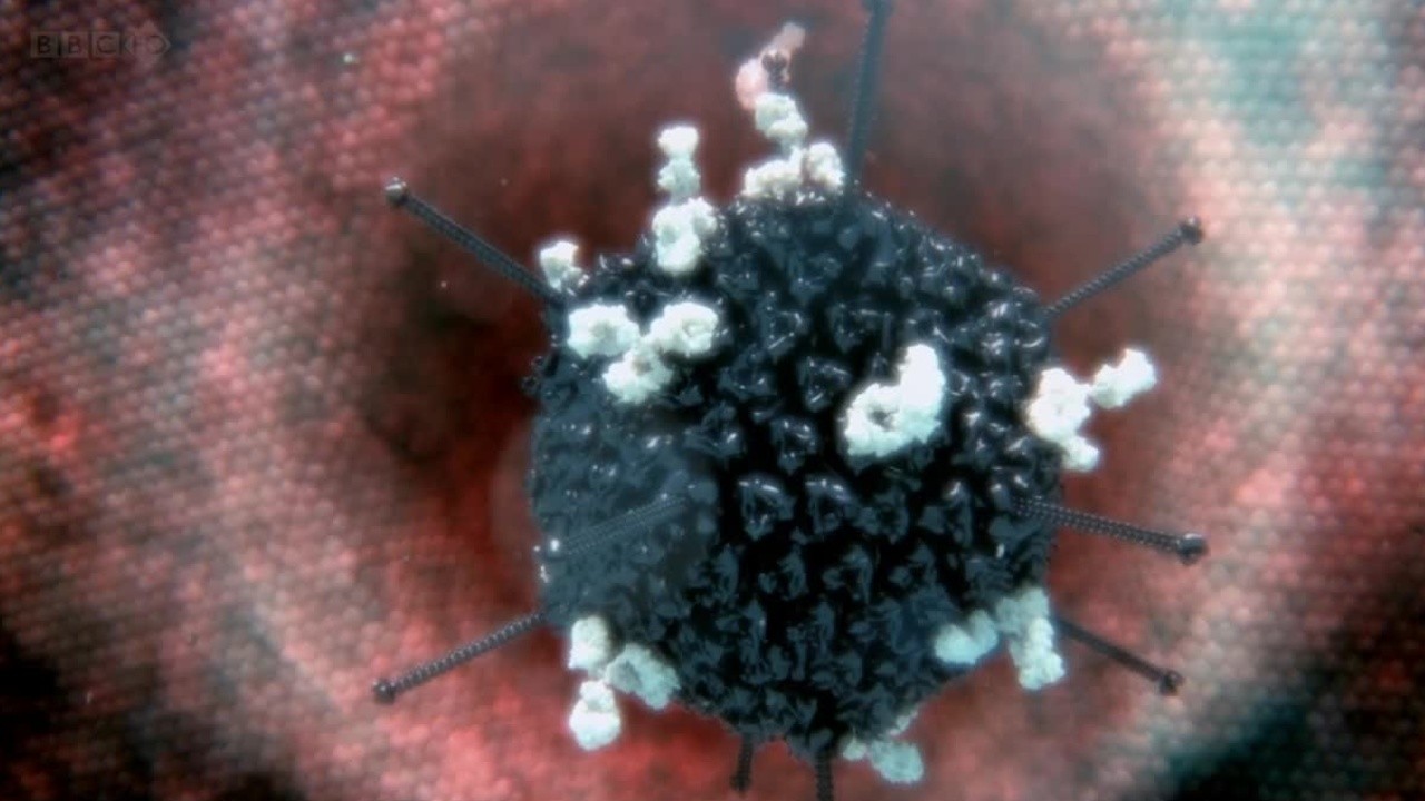 Our Secret Universe: The Hidden Life of the Cell