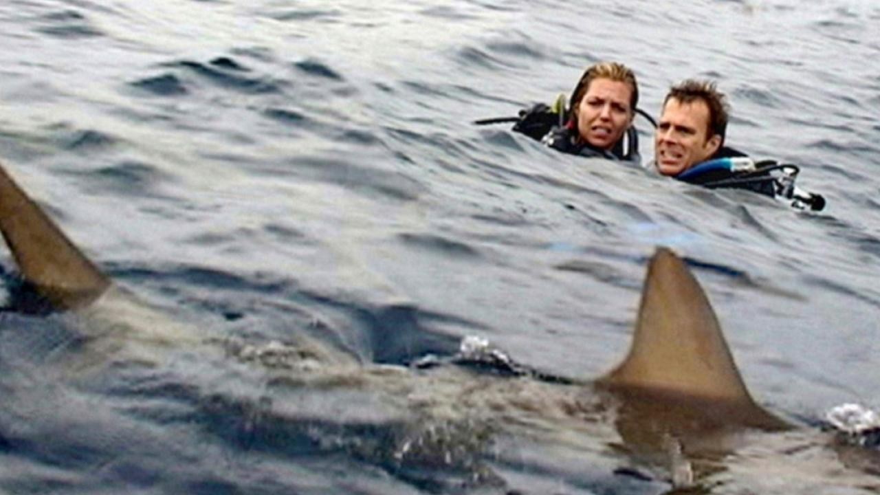 Image du film Open water en eaux profondes