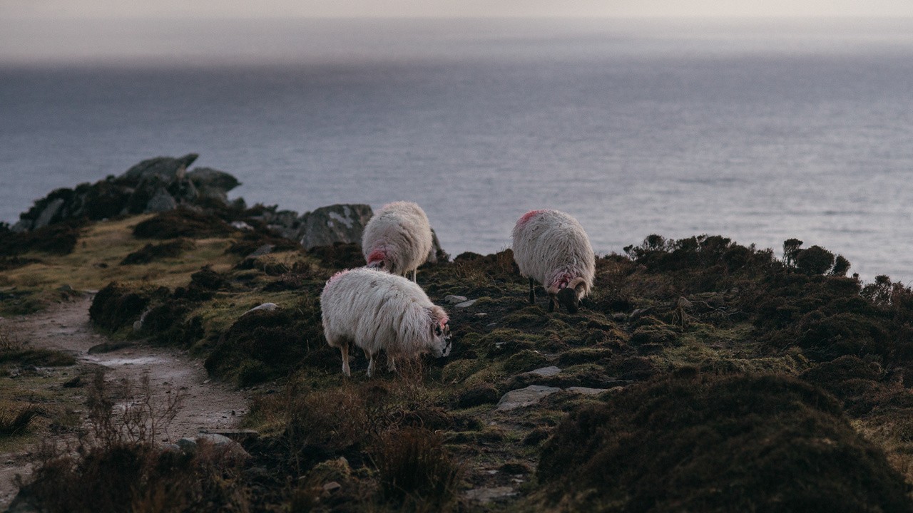 Slieve League, Ireland