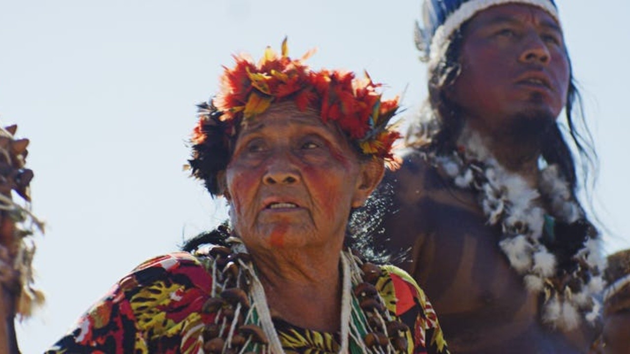 Amazonian Cosmos