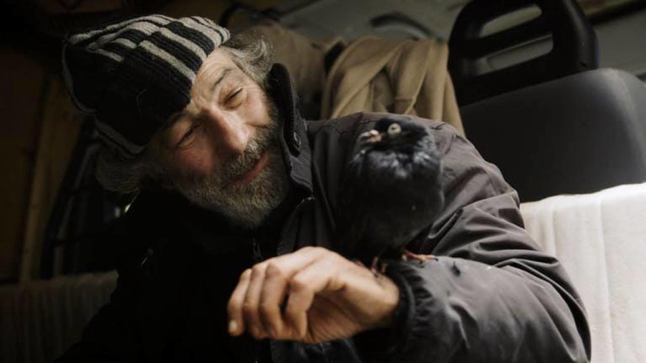 Image du film Monsieur Pigeon