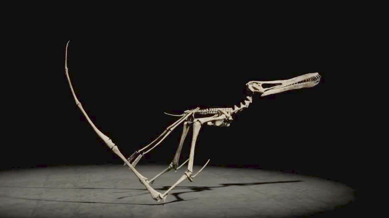 Flying Monsters with David Attenborough
