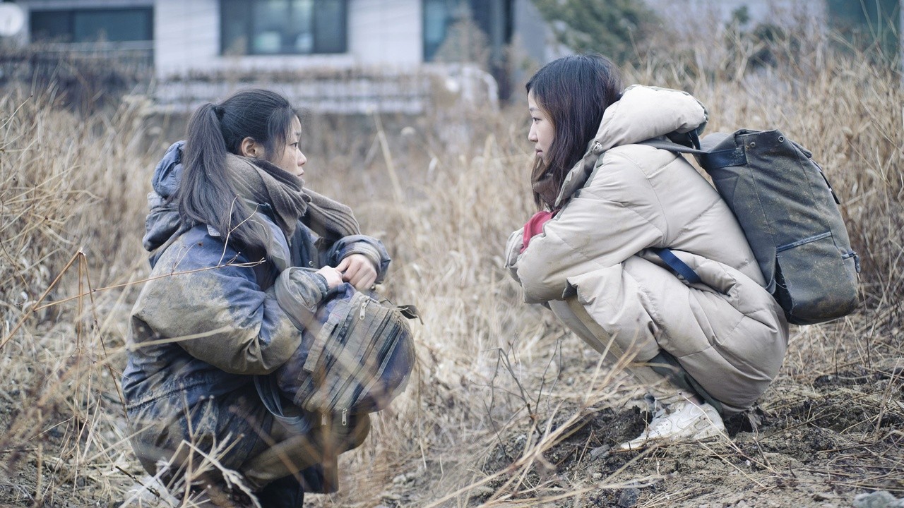 Wild Flowers 2014 Mubi