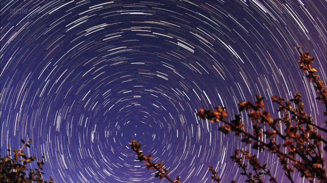 How Gravity Shapes the Universe