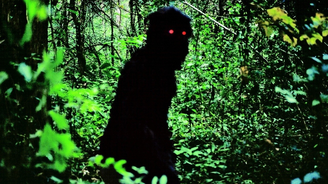 Image du film Oncle Boonmee (celui qui se souvient de ses vies antérieures)