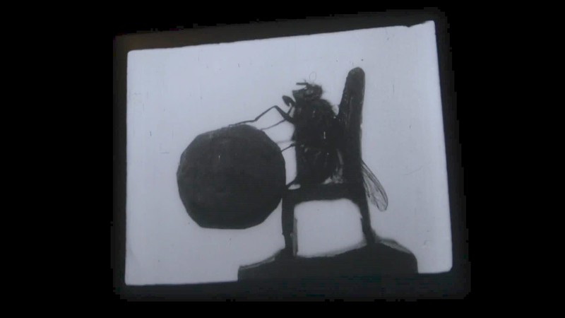 Edwardian Insects on Film