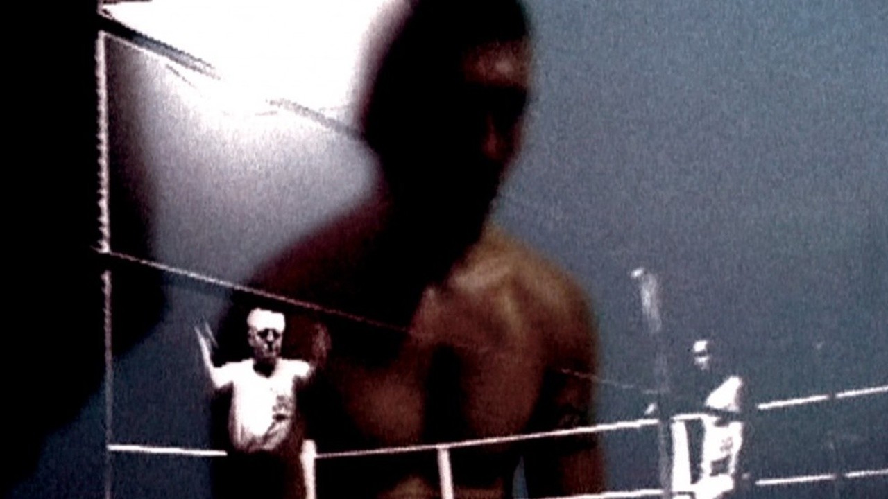 Image du film Noble art