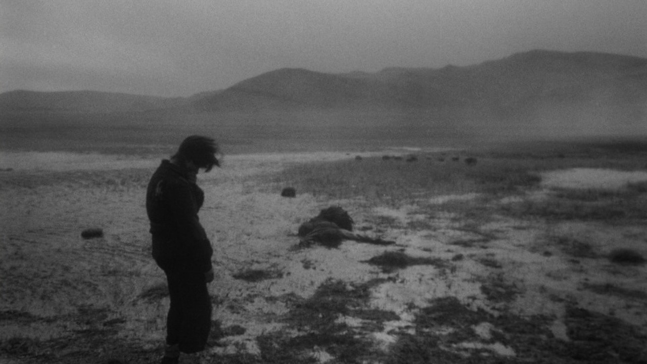 Image du film La Lettre inachevée