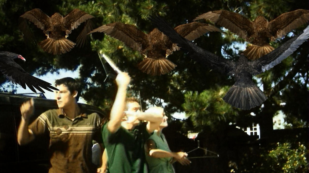 Image du film Birdemic: Shock and Terror