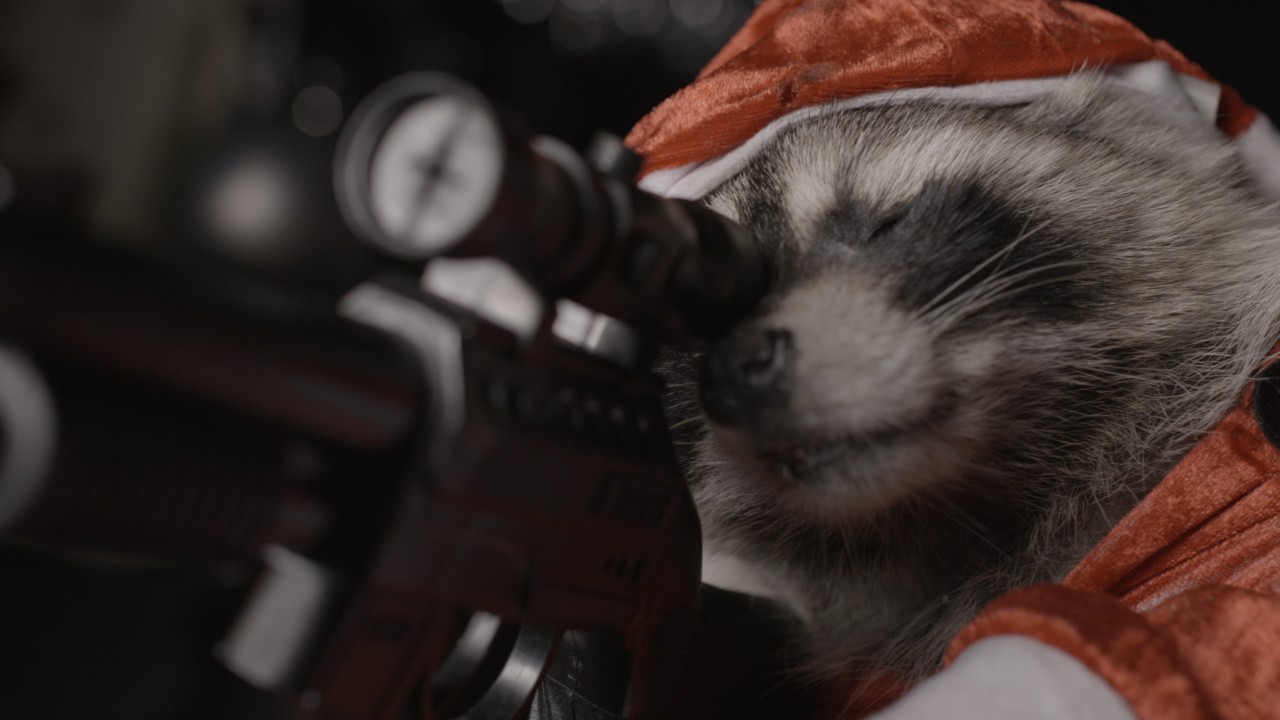 Killer Raccoons 2: Dark Christmas in the Dark